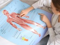 anatomski plakati